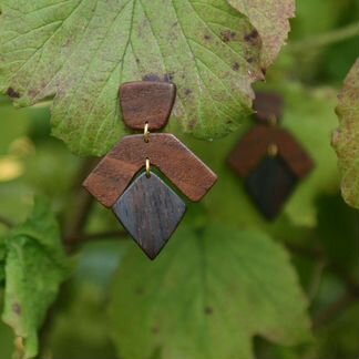 Авторские серьги из ценных пород дерева