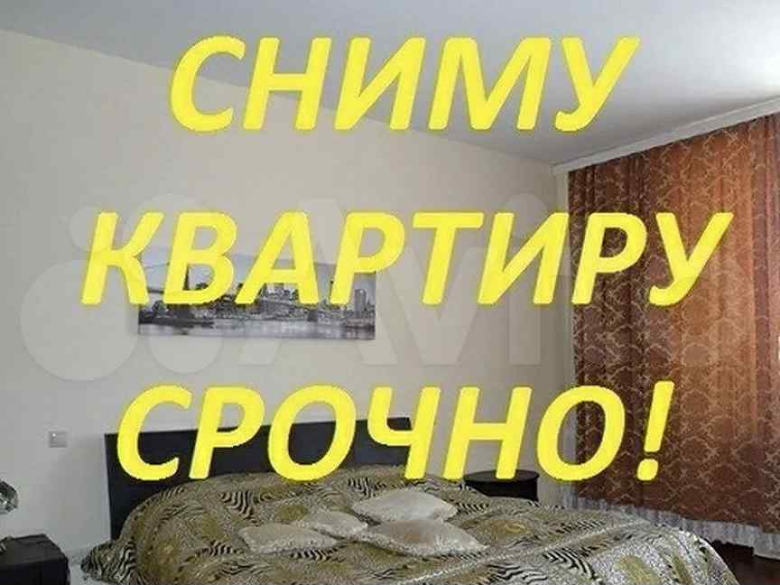 Сниму однокомнатную квартиру картинки