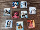 Карточки Пингвины Мадагаскара коллекционные