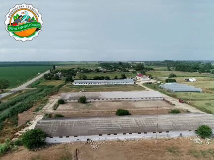 Кролик копчённый