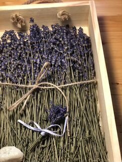 Высушенная лаванда