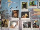 Альбом Panini Мир животных (1996 г.) объявление продам