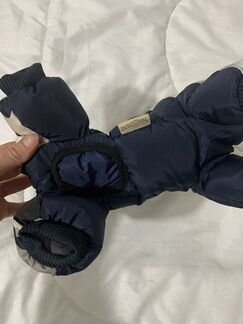 Пуховик для чихуахуа или той терьера