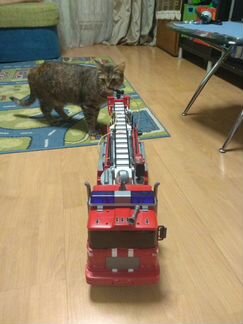 Машина пожарная