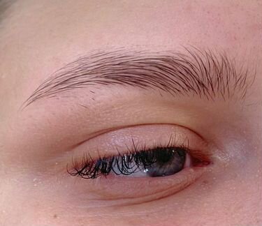 Услуги Бровиста