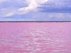 Поздки на розовое озеро
