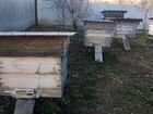 Ульи с пчелами объявление продам
