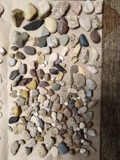Морские камешки