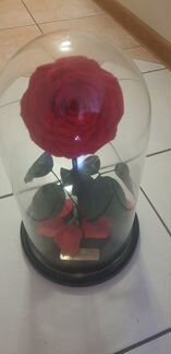 Роза в колбе 