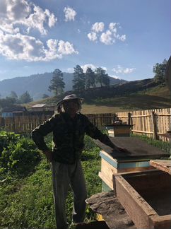 Мёд башкирский