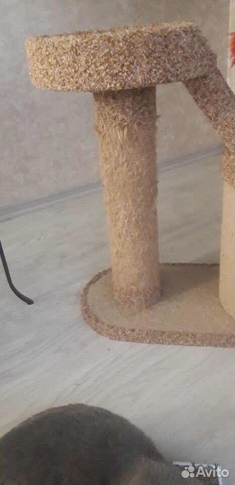  House - scratching post  89069282040 buy 1