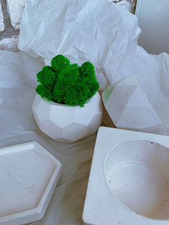 Кашпо горшок для цветов и стабилизированный мох