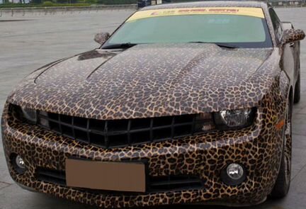 Пленка под кожу леопарда