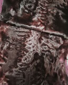 Каракуль узбекский