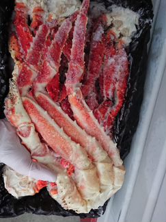 Краб- Камчатский. Крупный размер L3 Меркурий