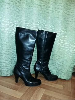 Сапоги carlo pazolini кожа