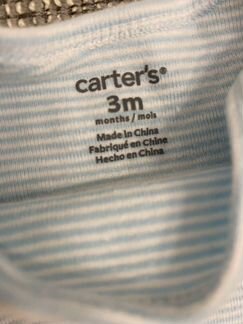 Боди Carters