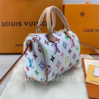 Louis Vuitton Nano Speedy