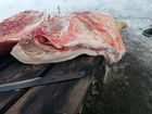 Продам мясо свинина Венгерская мангалица объявление продам