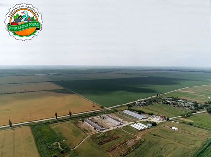 Нутрия копчёная