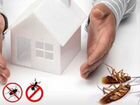 Уничтожение насекомых: тараканов, клопов, клещей и объявление продам