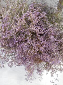 Цветы